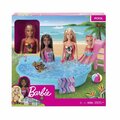 Barbie BARBE DOLL/PL ST ASSRTD GHL91